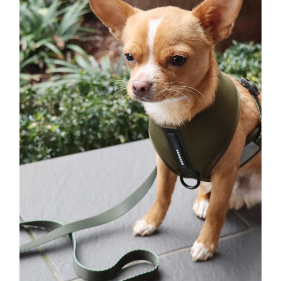 *Host Pick* NWOT MaxBone Sport Harness - Picture 7 of 13